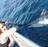 Billfish release